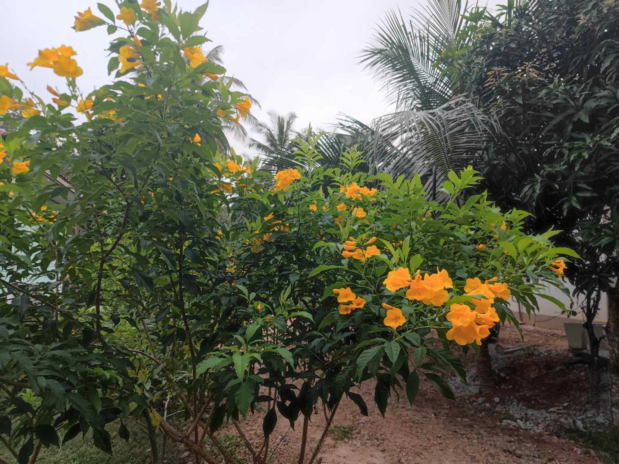 The Secret Garden Homestay Koh Yao Yai Ko Yao Yai Exterior foto