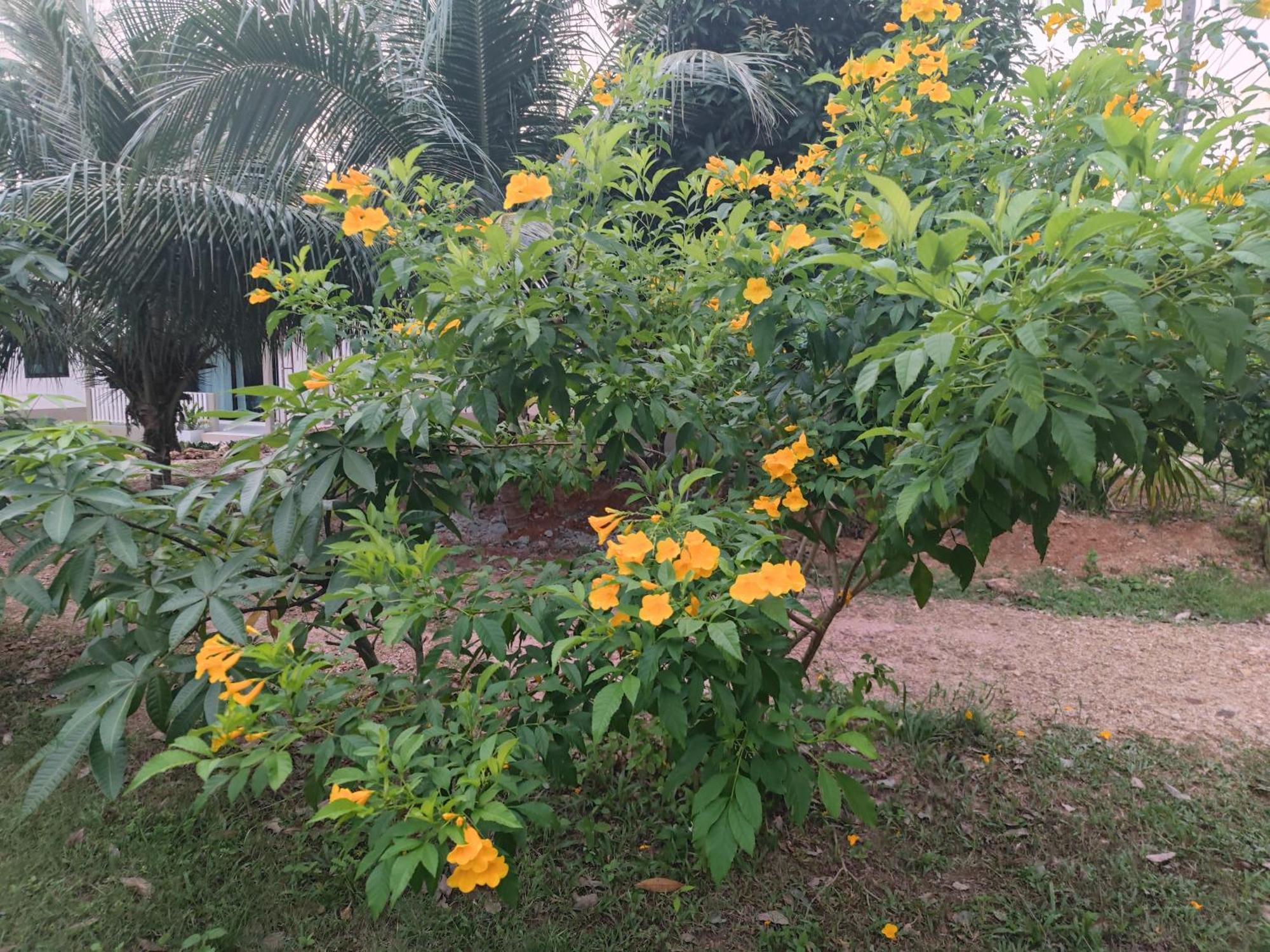 The Secret Garden Homestay Koh Yao Yai Ko Yao Yai Exterior foto