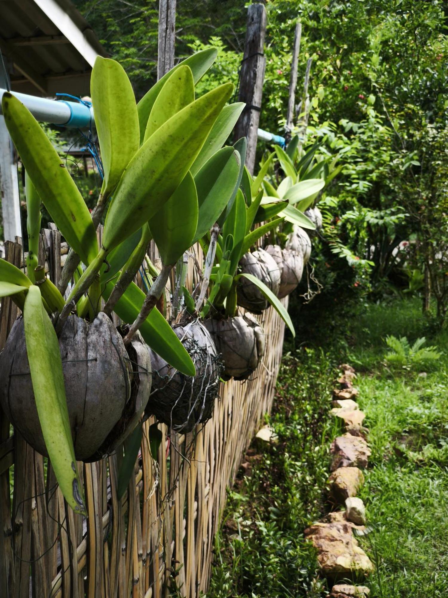 The Secret Garden Homestay Koh Yao Yai Ko Yao Yai Exterior foto